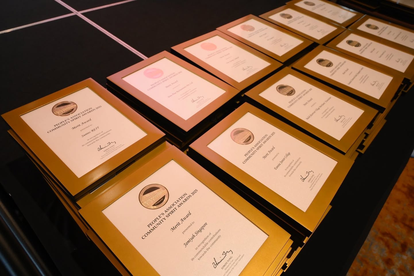 Highlights from the PA Community Spirit Awards 2025 celebration
