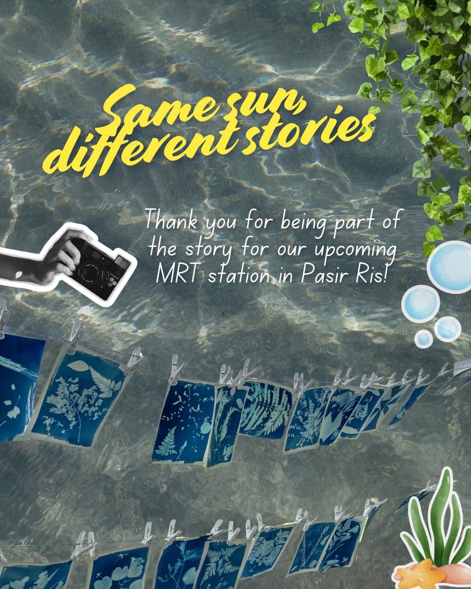 Various cyanotype art pieces drying in the sun, ready for display.