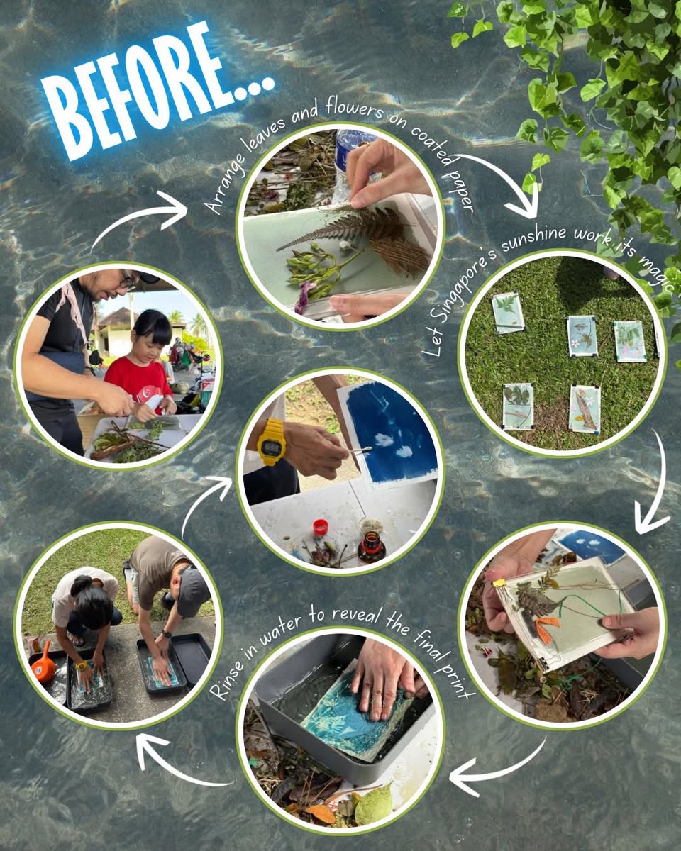 A group of Pasir Ris residents engaged in creating cyanotype art outdoors.