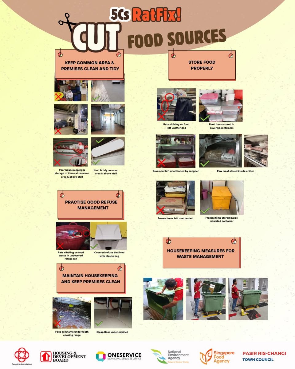 Campaign visual highlighting rat control efforts in Pasir Ris West