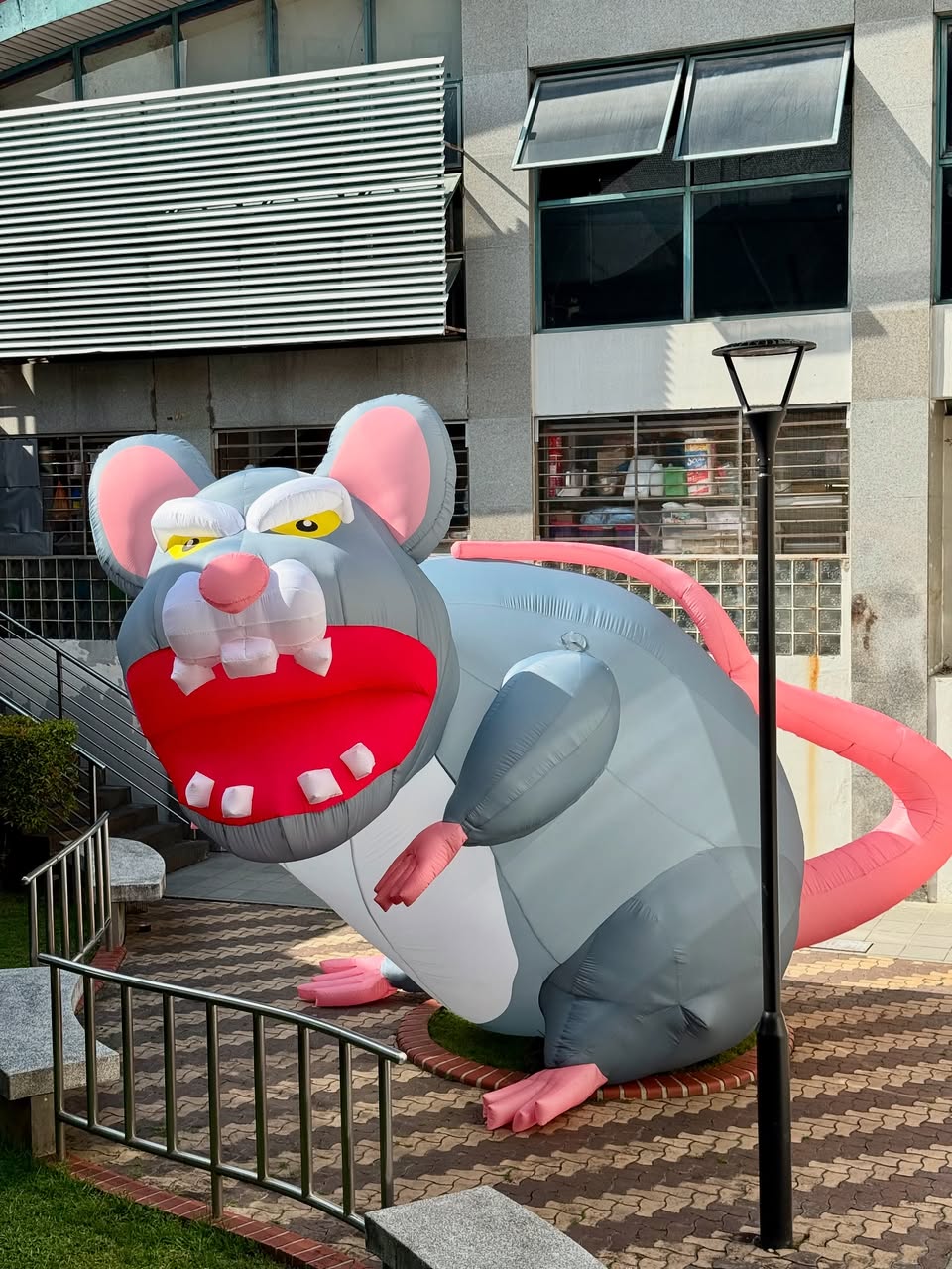 Educational exhibit on rat prevention strategies