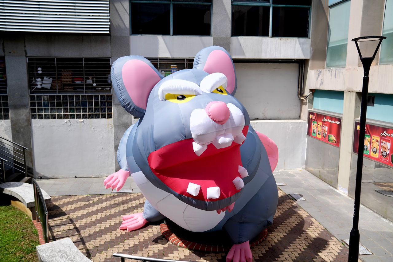 Public outreach materials for the RatFix program