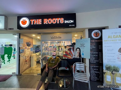 The Roots Unisex Hair Salon Pte Ltd