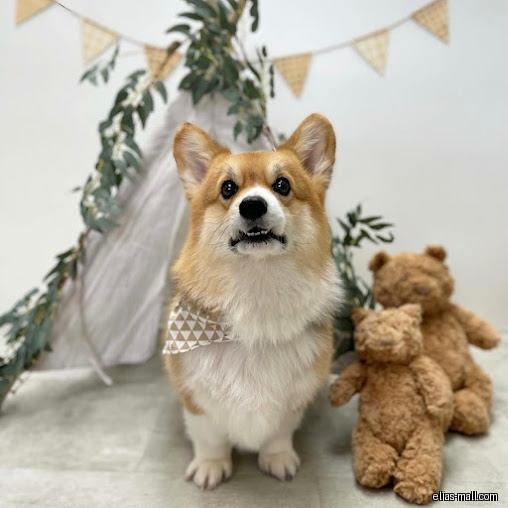 The Weekend Groomers